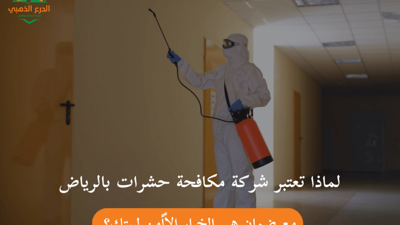 لماذا تعتبر شركة مكافحة حشرات بالرياض مع ضمان هي الخيار الأأمن لبيتك؟