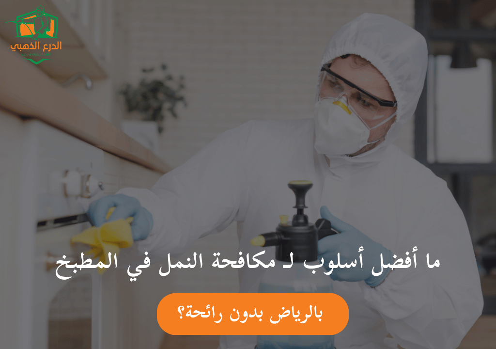 ما أفضل أسلوب لـ مكافحة النمل في المطبخ بالرياض بدون رائحة؟