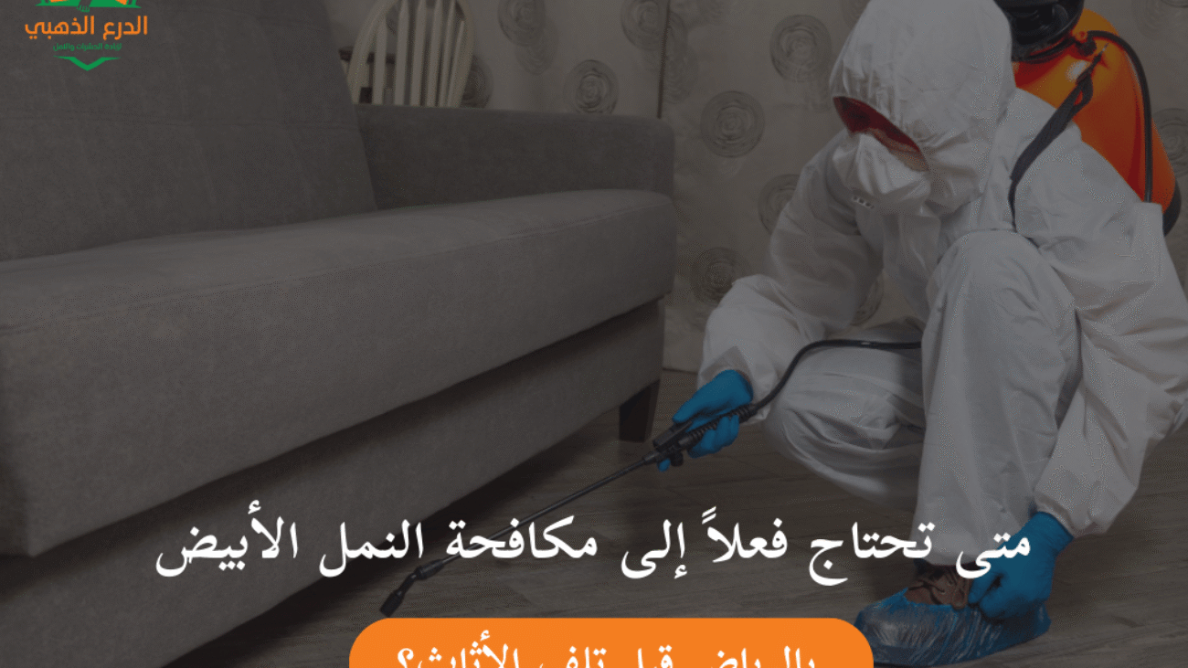 متى تحتاج فعلاً إلى مكافحة النمل الأبيض بالرياض قبل تلف الأثاث؟