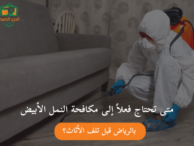 متى تحتاج فعلاً إلى مكافحة النمل الأبيض بالرياض قبل تلف الأثاث؟